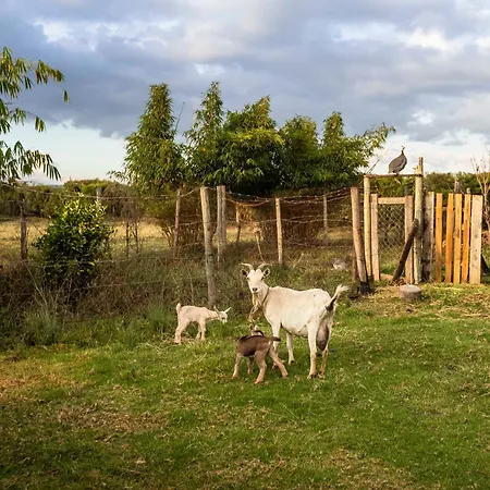 Mount Kenya Farm Stay Nanyuki Exterior foto